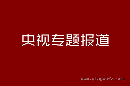 央视专题报道